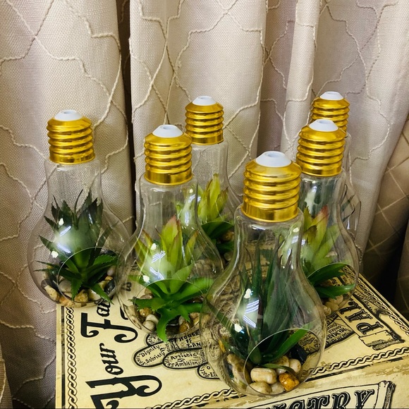Terrarium Wedding Centerpiece (set of 8) - Picture 6 of 7